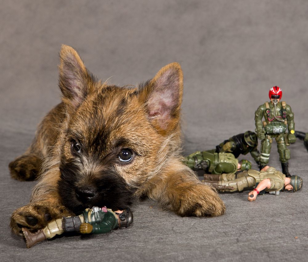 Time For a Revolution?